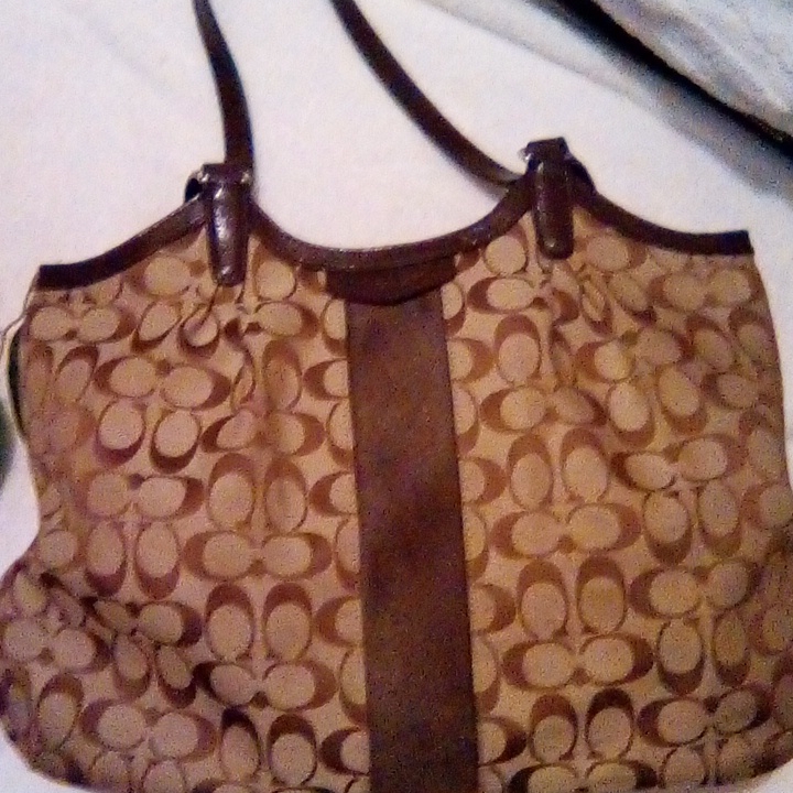 Designers Purse